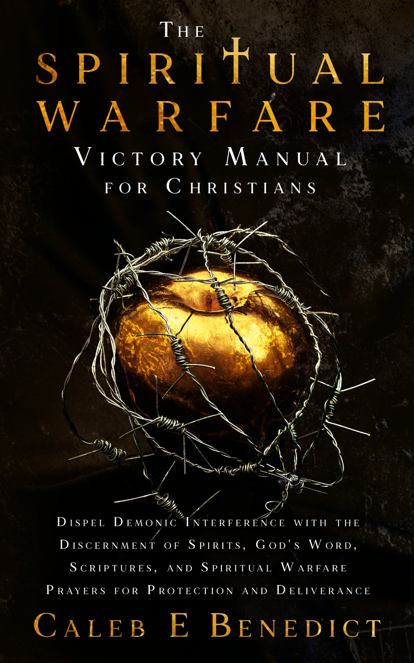 Book Cover Variant Thumbnail